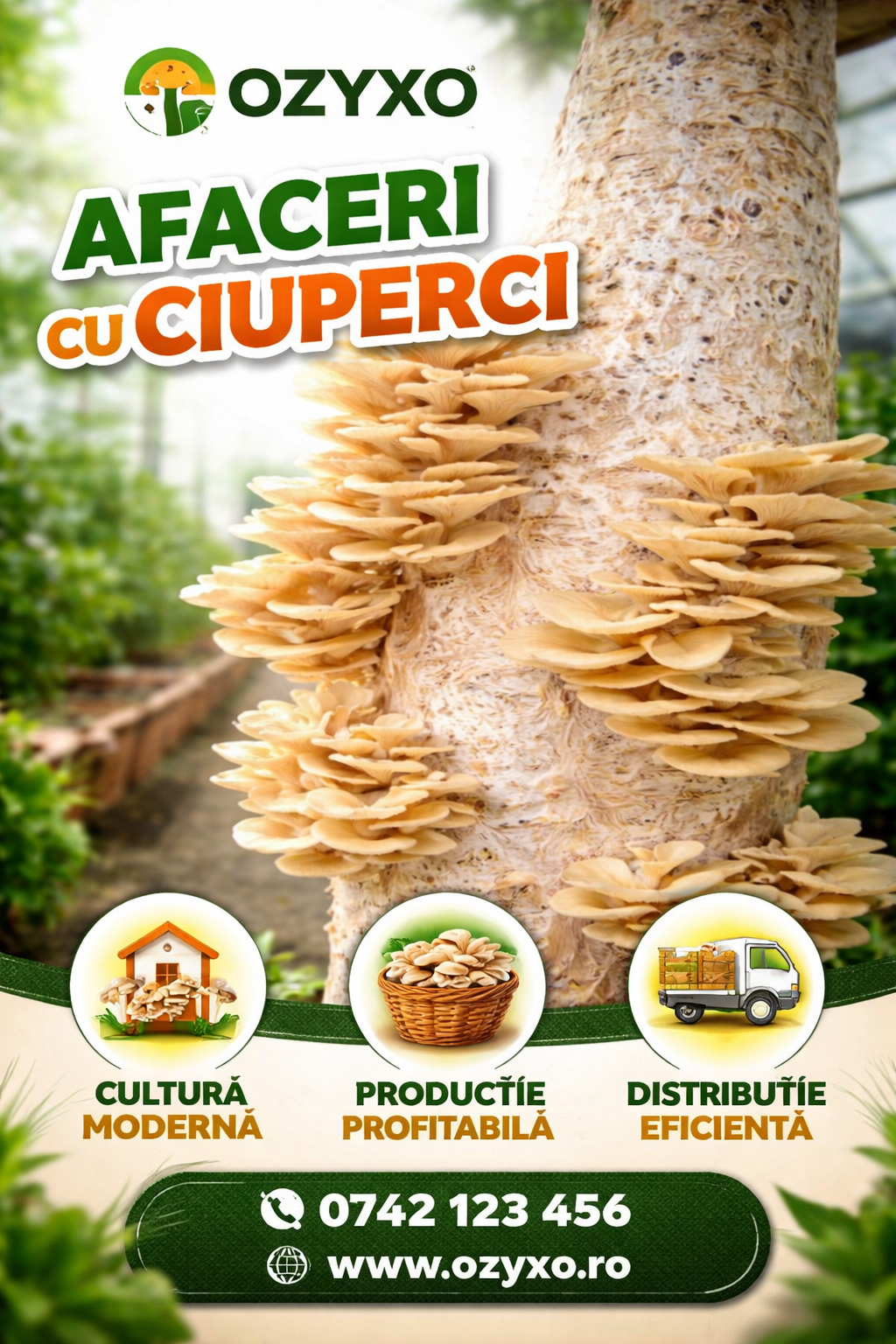 Afacerea cu Ciuperci în 2026: Ghid Practic pentru un Startup Agricol